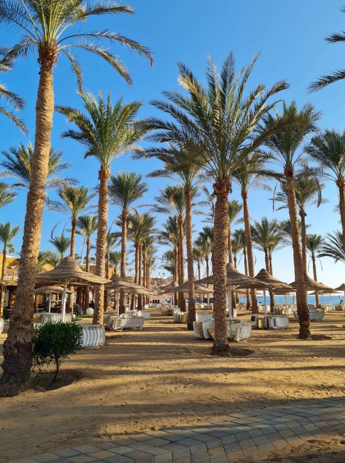 Seti Sharm Palm Beach Resort Families And Couples Only Exterior foto